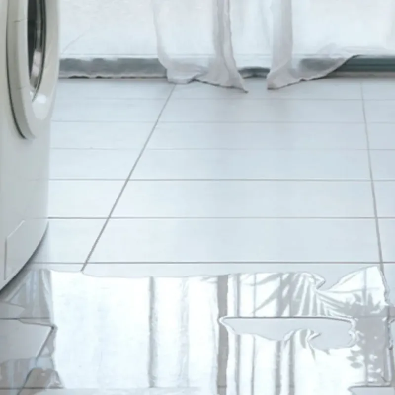 Appliance Leak Cleanup in Eastland County, TX