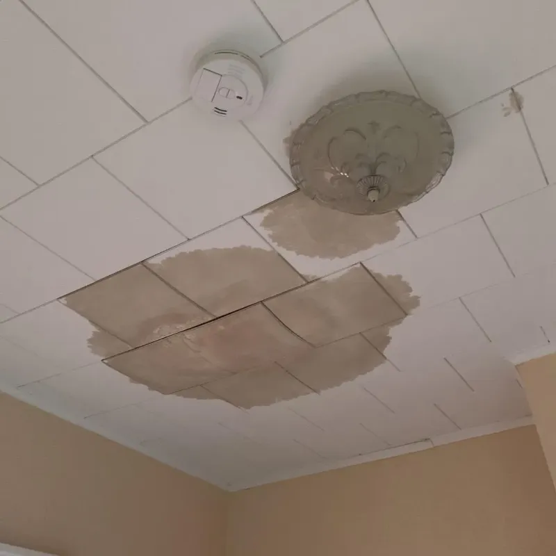 Ceiling Water Damage Repair in Eastland County, TX