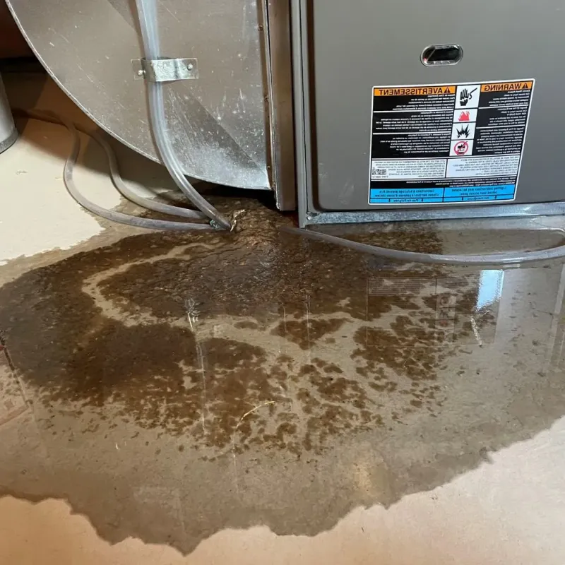 Pipe Burst and Leak Restoration in Eastland County, TX